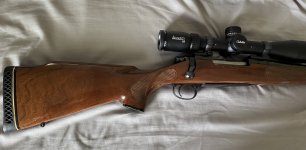 IMG_8870.jpeg
