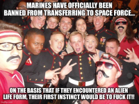 1751823492509.png