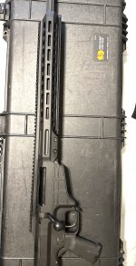 IMG_4643.jpeg