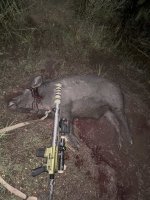 Athlon v Pig 1.jpg