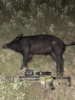 Athlon v Pig 2.jpg