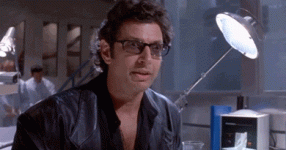 IMG_0336.gif