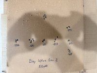 IMG_9747.jpeg