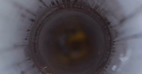Screenshot 5.png