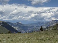 IMG_5508.jpeg