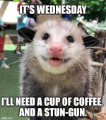 1752067069325.png