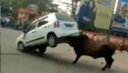 1752151276923.gif