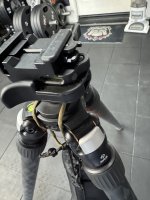 IMG_3586.jpeg