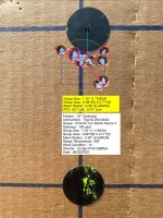 IMG_8252.jpeg
