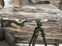 IMG_6493.jpeg