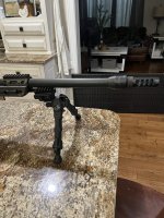 IMG_1767.jpeg