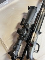 IMG_0588.jpeg