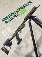 XLR ENVY Pro Chassis Cerakote Tiger Stripe (1).JPEG