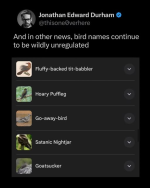 1752233625274.png