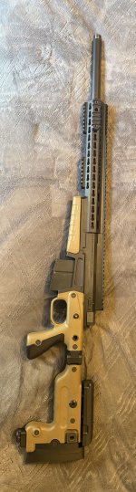 IMG_2371.jpeg