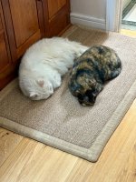 Pete & Minera.jpg