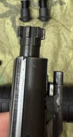 IMG_4402.jpeg