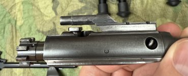 IMG_4403.jpeg