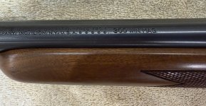 IMG_8617.jpeg