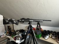 IMG_7953.jpeg