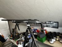 IMG_7952.jpeg