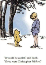 1752361340744.png