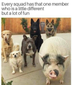 1752382268492.png