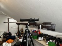 IMG_7916.jpeg