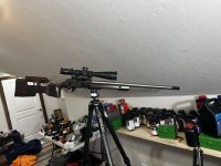 IMG_7917.jpeg