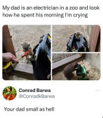 1752432215889.png