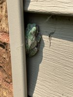 IMG_0065.jpg