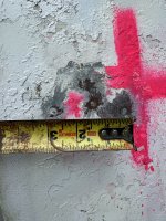 IMG_2390.jpeg