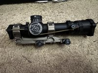 IMG_5291.jpeg