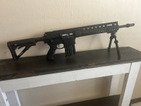 IMG_4251.jpeg