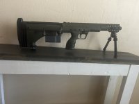 IMG_4239.jpeg