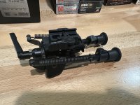 IMG_6571.jpeg