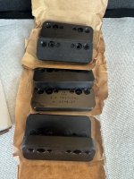 IMG_5648.jpeg