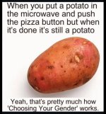 IMG_2311.jpeg