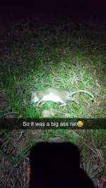 Snapchat-741145483.jpg