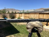IMG_4175.jpeg