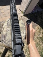 IMG_4177.jpeg