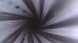 IMG_3929.jpeg