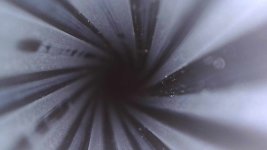 IMG_3928.jpeg