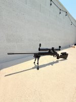 IMG_8533.jpeg