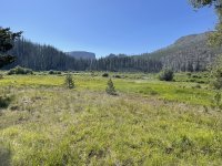 IMG_7941.jpeg