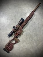 IMG_3533.jpeg