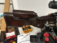 IMG_7890.jpeg