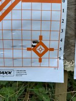 IMG_9392.jpeg