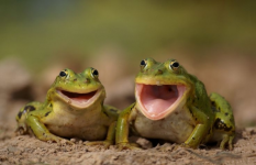 1753022915112.png