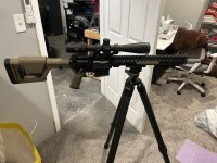 IMG_4271.jpeg
